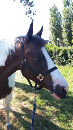 20190715_175909_003_01