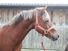 20191101_164123_030_01